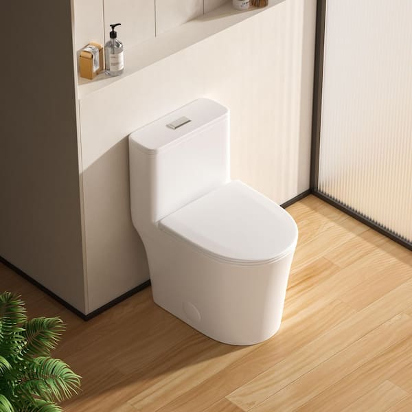 1-Piece 1.0/1.6 GPF Dual Flush Toilet with Powerful 1000G MaP, Round Toilet in white, Soft Close Seat, 12" Rough In