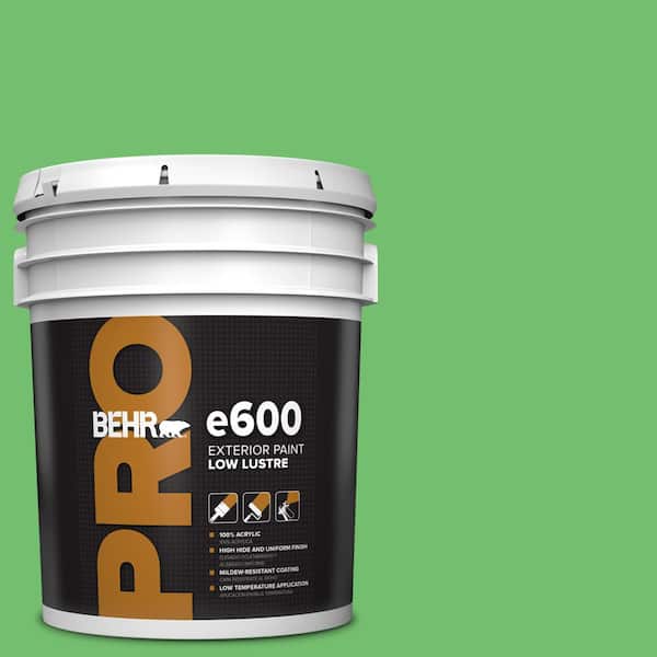 BEHR PRO 5 gal. #440B-5 Dublin Low Luster Exterior Paint