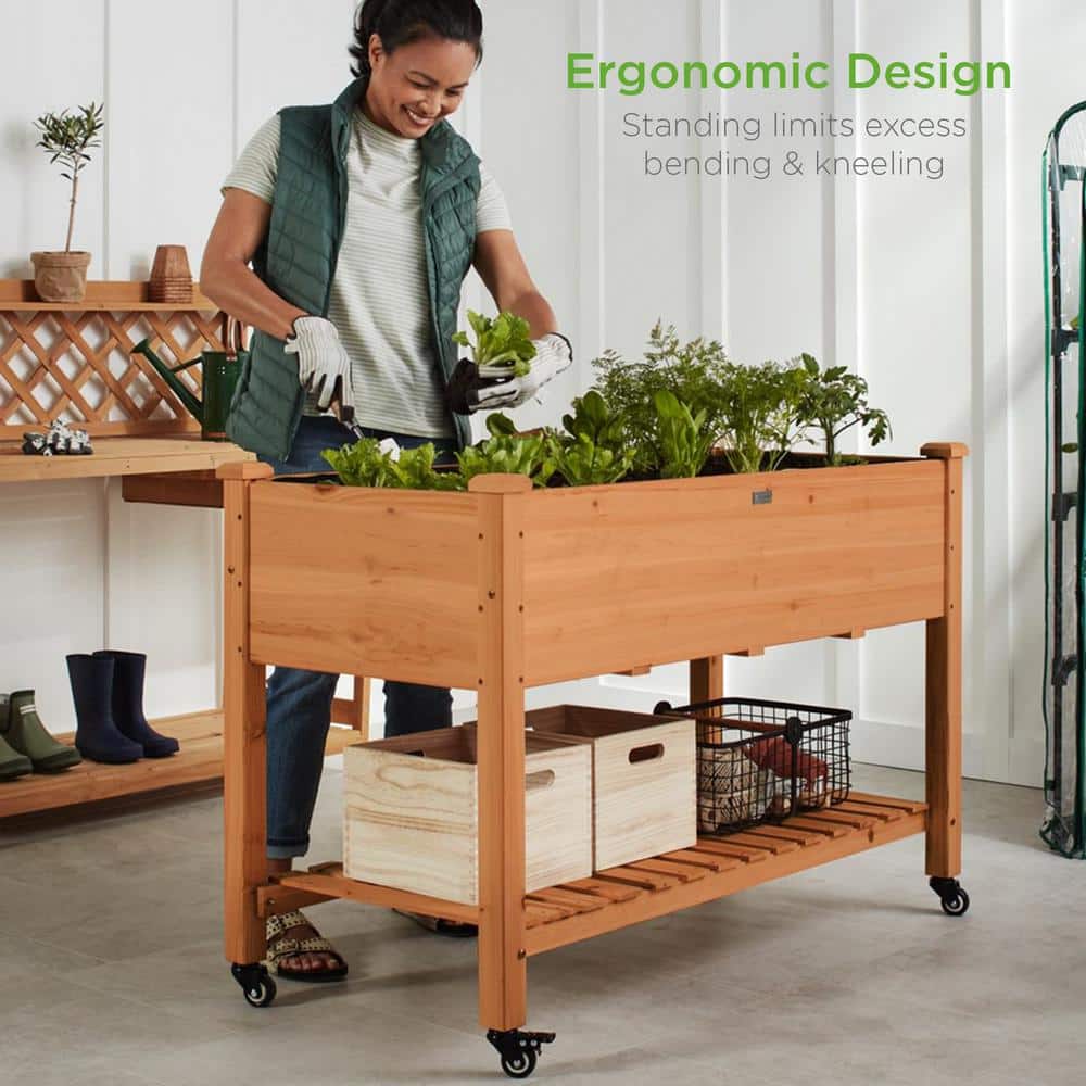 Acorn Brown Wood Mobile Elevated Garden Planter with Shelf