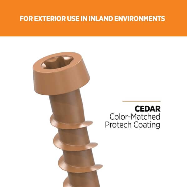 #10 2-1/2 in. Cedar Star Drive Trim-Head Composite Deck Screw (100-Count)