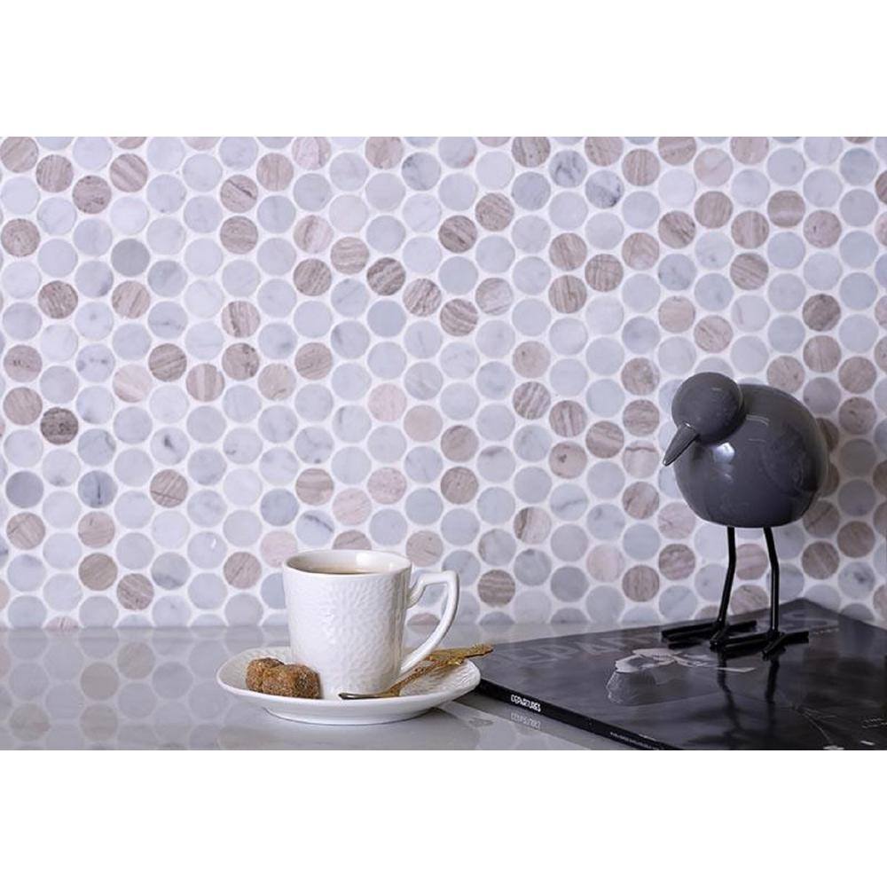Gray and Beige Penny Polished Marble Mosaic Tile Pack