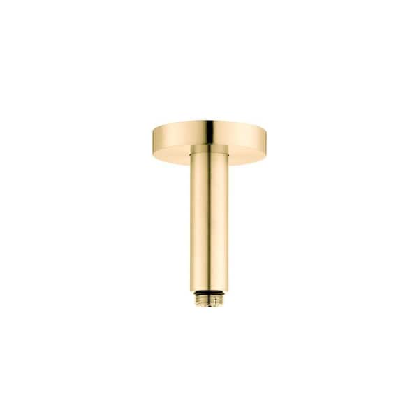 Raindance E Showerarm, Brushed Gold Optic