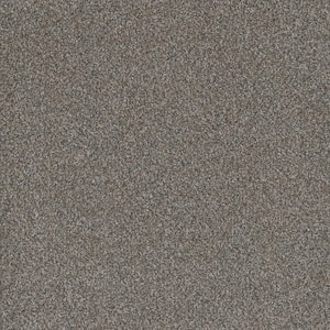 Trendy Threads Plus I - Elkhorn - Gray 40 oz. SD Polyester Texture Installed Carpet