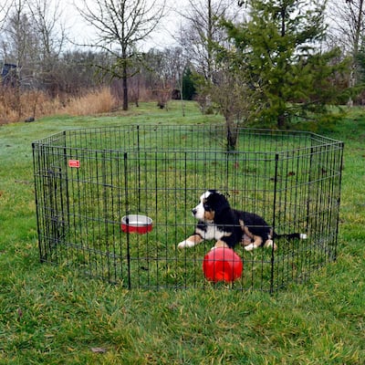 lucky dog outdoor pet playpen