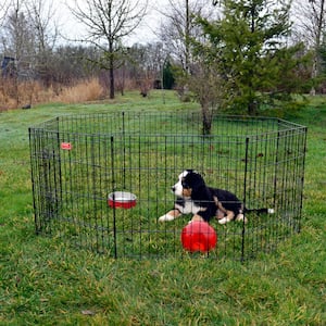 24 in. High Heavy Duty Dog Exercise Pen with Stakes