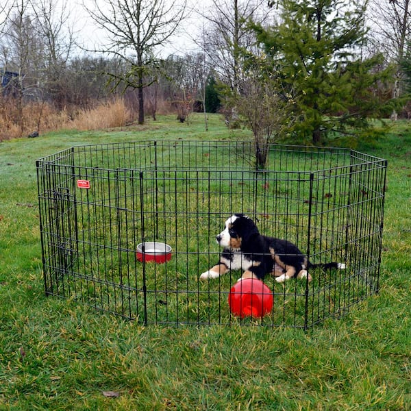 Lucky Dog 24 in. High Heavy Duty Dog Exercise Pen with Stakes ZW