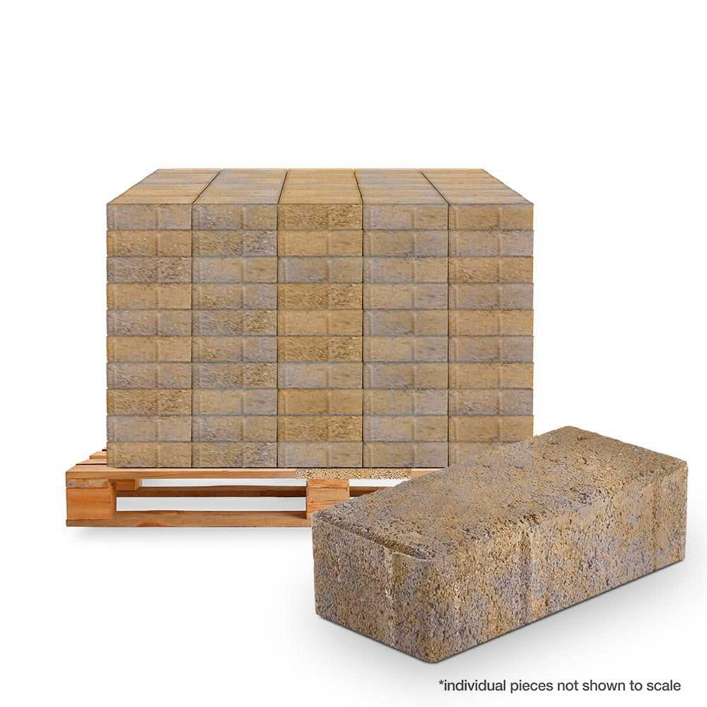 Pavestone Modular Pavestone Holland 7.87 in L x 3.94 in W x 2.36 in H 60 mm Chattanooga ...