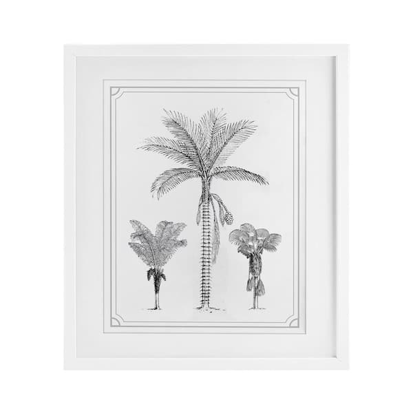 Palm Tree Trio Sketches by Lettered and Lined White Framed Nature Graphic Art Print 16 in. x 13 in.