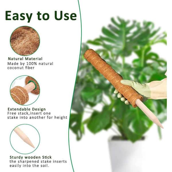 garden seeds for sale Organic Herb Seeds Variety Pack