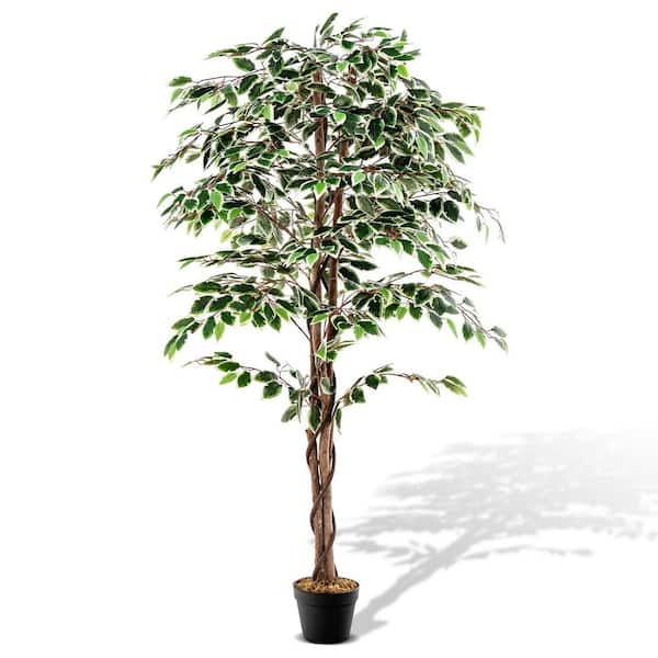 Mecale 5.5 ft. Artificial Ficus Tree with Leaves and Dried Moss in Pot for In-Outdoor Decor