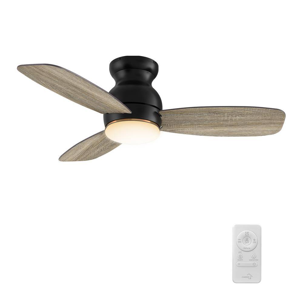 Arran II 44 in. Color Changing Integrated LED Indoor Black 10-Speed DC Ceiling Fan with Light Kit and Remote Control price history on PriceWatchPro