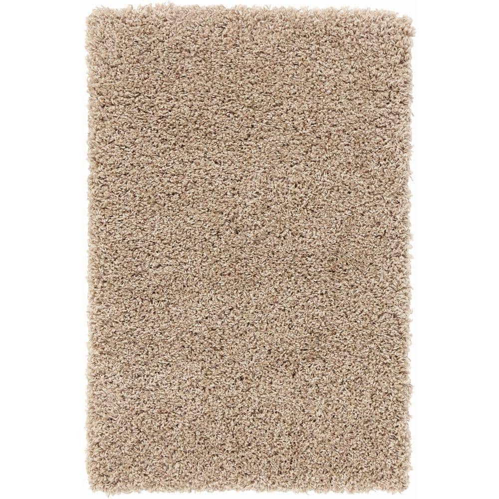 Shaggy Beige 3 ft. x 5 ft. Area Rug