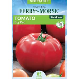 Tomato, Big Rainbow Annual Vegetable Heirloom Seeds – Ferry-Morse