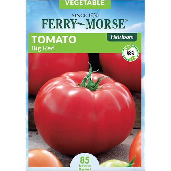 Ferry-Morse Tomato Big Red Heirloom Seed