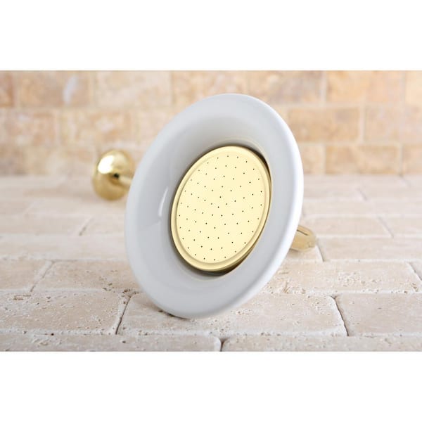 1-Spray 6.3 in. Single Wall Mount Fixed Rain Shower Head in Polished Brass