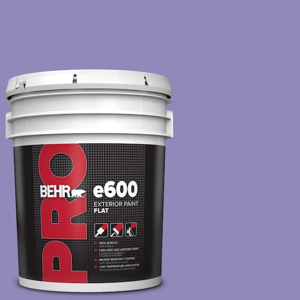 BEHR PRO 5 gal. #630B-6 Butterfly Garden Flat Exterior Paint