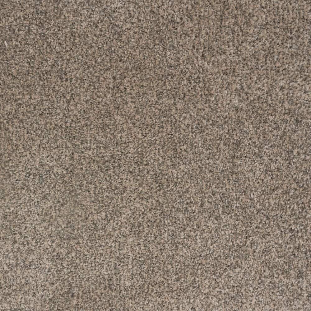 8 in. x 8 in. Texture Carpet Sample-Lurelin-Color Opulent price history on PriceWatchPro