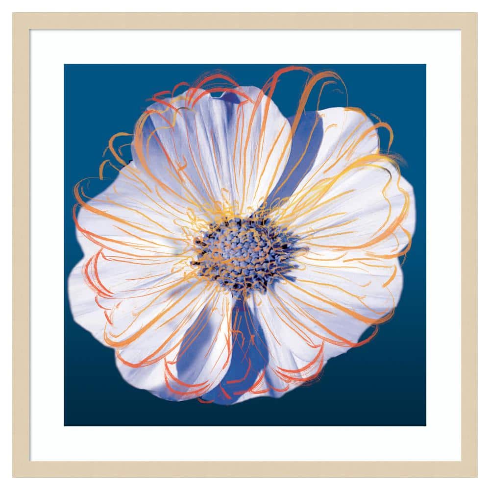 Svelte Natural Framed Flower Pop Pastel II Graphic Art Print