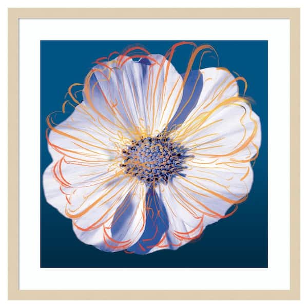 Amanti Art Flower Pop Pastel II by Marie Elaine Cusson 25 in. W x 25 in. H. Wood Framed Wall Art Print Framed in Brown