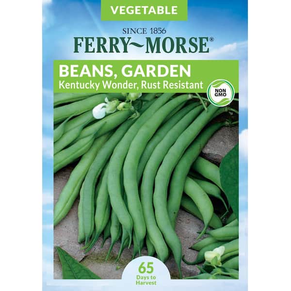 Ferry-Morse Bean Kentucky Wonder Rust Resistant Fruit Seed