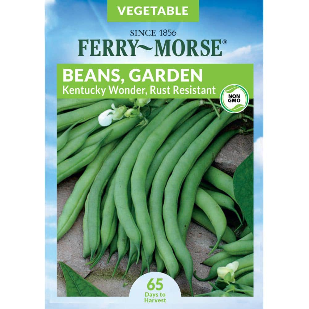 Ferry-Morse Bean Kentucky Wonder Rust Resistant Seed 7086 - The Home Depot