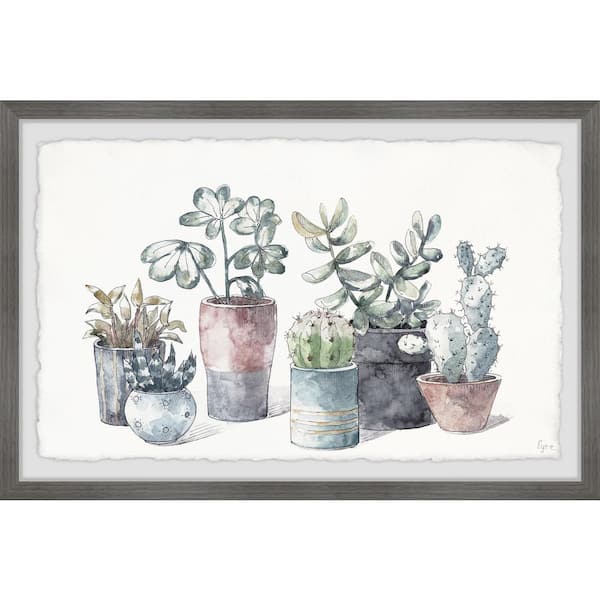 Unbranded "Succulent in Display Planters" by Parvez Taj Framed Nature Art Print 24 in. x 36 in.