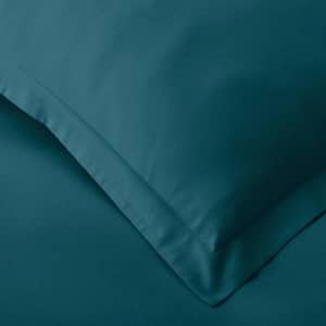 Company Cotton Solid Velvet Flannel Duvet Cover