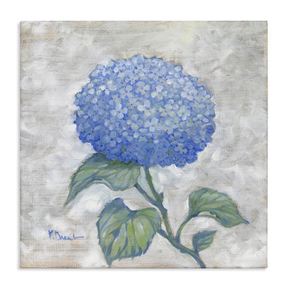 Round Blue Country Hydrangea by Paul Brent Unframed Nature Graphic Art Print 24 in. x 4 in. price history on PriceWatchPro