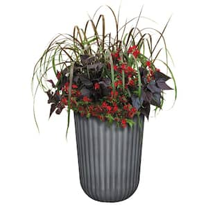 Arlington Fluted 15 in. x 22.5 in. Shadow Slate Resin Self-Watering Planter