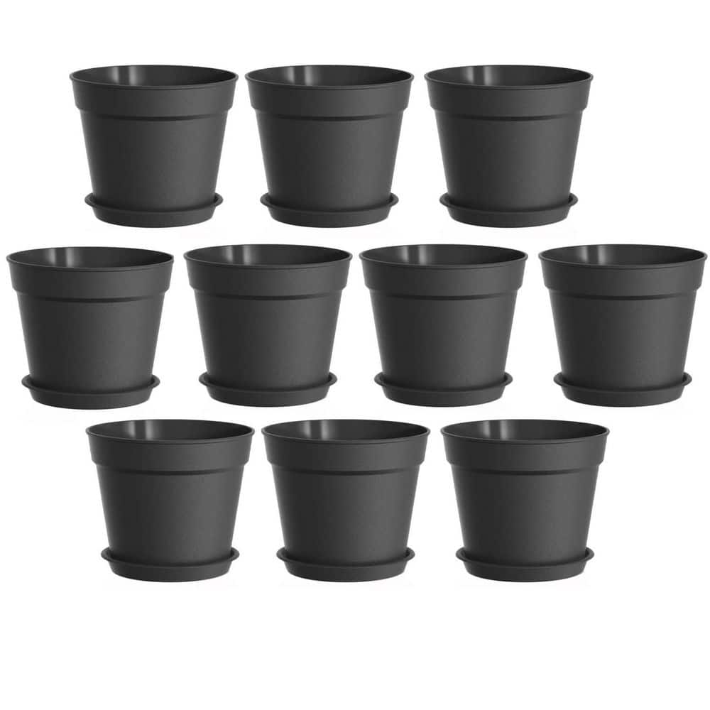 Black Plastic Indoor/Outdoor Planter with Saucer (6 in. W x 5 in. H)  10-Pack L0F6TTKCW9 - The Home Depot