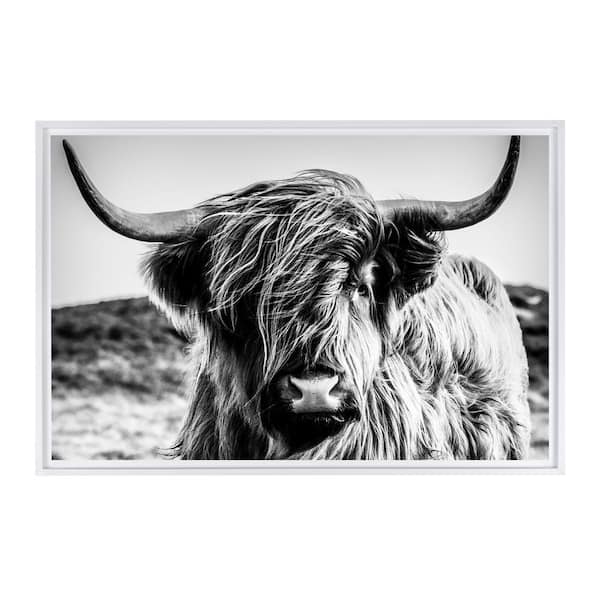 Stratton Home Decor Black and White Highland Cow Framed Canvas Wall Art - 18 in. x 12 in. Size, by Kelly Merkur 1-pc White Frame