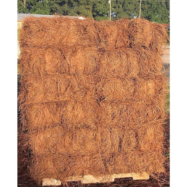 USA Pinestraw Box of 300 sq.ft. Long Needle Pine Straw Mulch