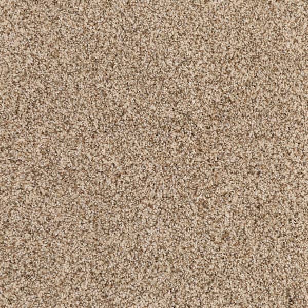 Heartfelt Fashion-Dusty Trail-Brown 68 oz. Nylon Textured Carpet - Installation Required
