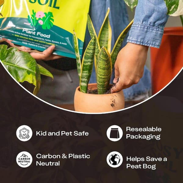 ROSY SOIL 8 qt. Houseplant Potting Mix, 4 qt. Cactus and Succulent Mix and  2 qt. Plant Food Combo - The Home Depot