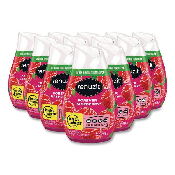 Renuzit 7 oz. Forever Raspberry Adjustables Solid Air Freshener, 12/Carton