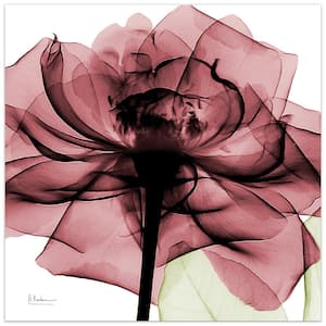 "Chianti Rose II" Frameless Free Floating Tempered Glass Panel Graphic Wall Art
