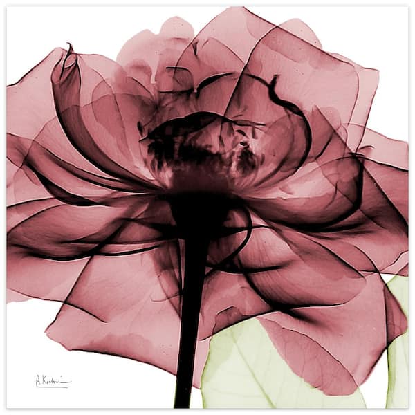 Empire Art Direct "Chianti Rose II" Frameless Free Floating Tempered Glass Panel Graphic Wall Art