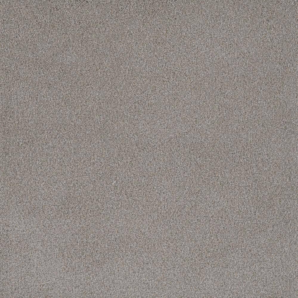 8 in. x 8 in. Texture Carpet Sample - First Class I -Color Ashland price history on PriceWatchPro