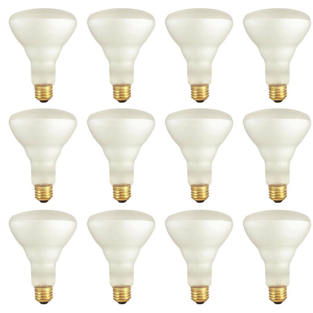 Bulbrite 65Watt BR30 Frost Dimmable Warm White Light Incandescent