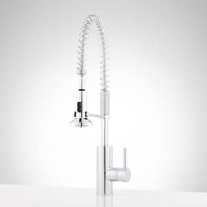 Presidio Single Handle Pull Out Sprayer Kitchen Faucet in Chrome
