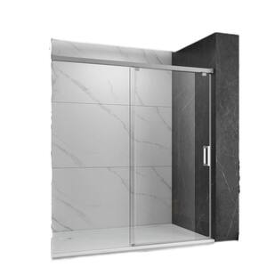 48 in. W x 76 in. H Single Sliding Frameless Shower Door in Stainless Steel with Clear Glass