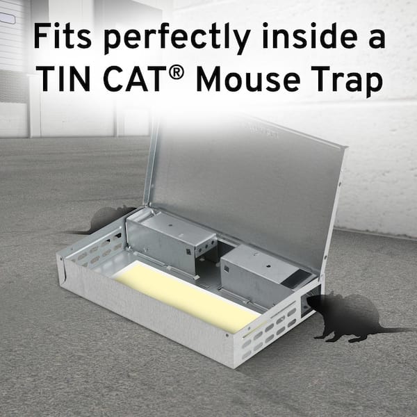Victor Tin Cat Mice Glue Traps 72 Pcs Box Mouse Rat Spider Insect Sticky Boards 