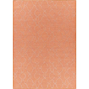 Araluen Burnt Orange 5 ft. 1 in. x 7 ft. Indoor/Outdoor Area Rug