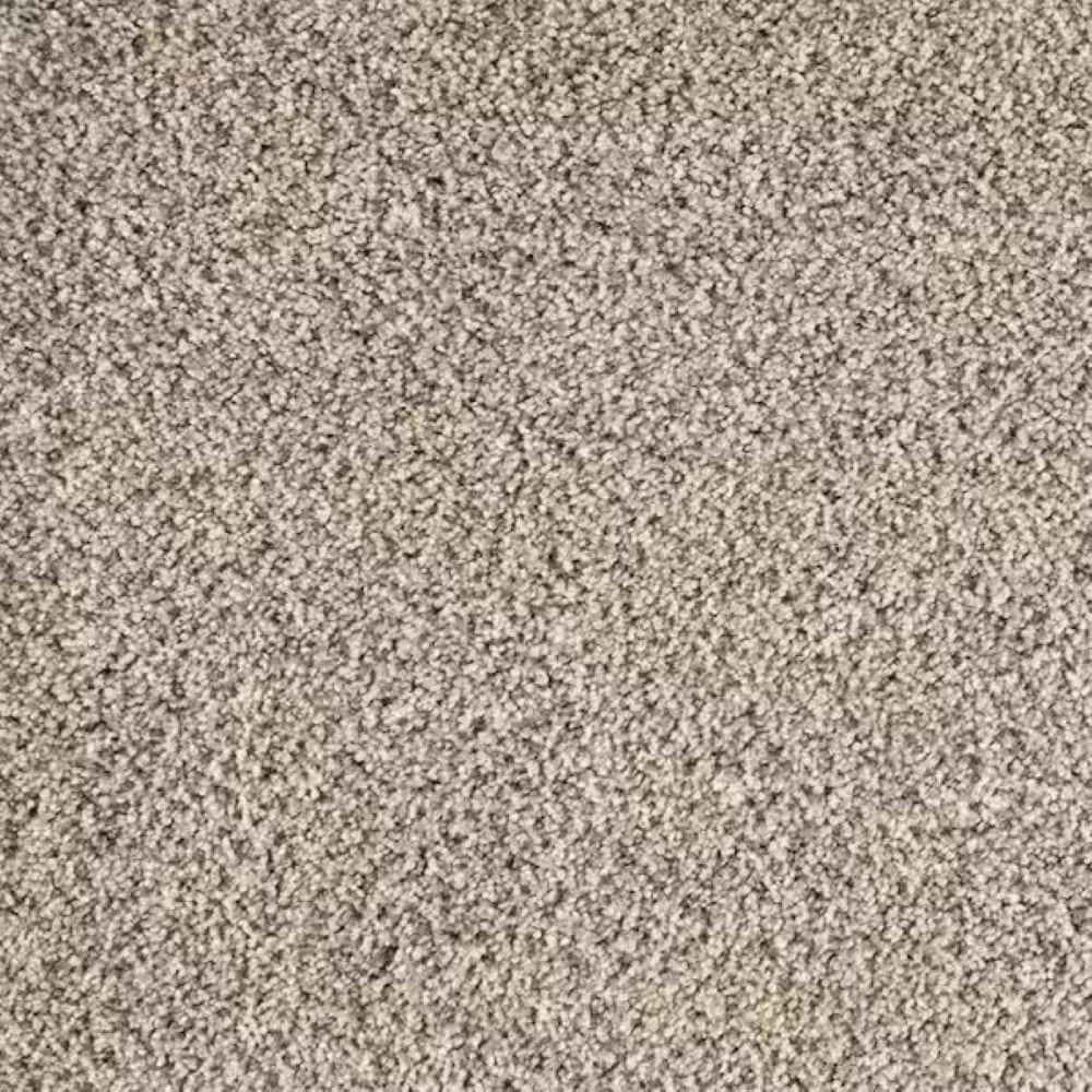 8 in. x 8 in. Texture Carpet Sample-Rockaway I-Color Shooting Star price history on PriceWatchPro