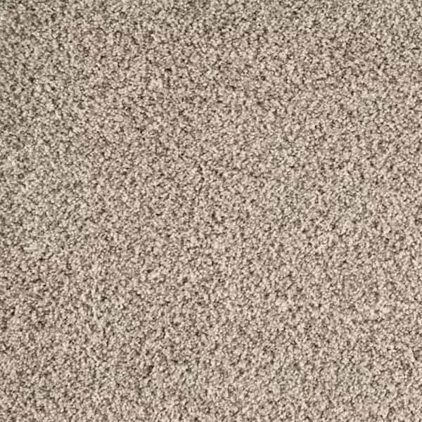 8 in. x 8 in. Texture Carpet Sample-Rockaway I-Color Shooting Star