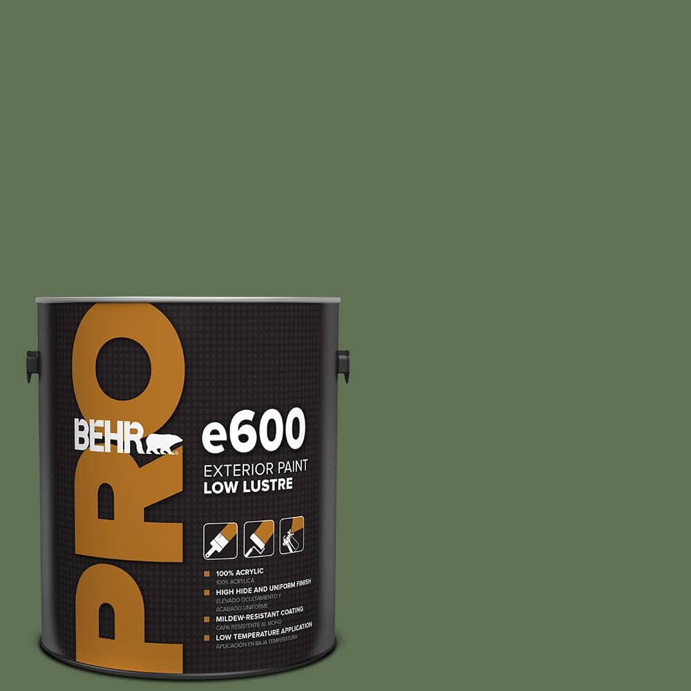 1 gal. #QE-39 Willow Leaf Low Luster Exterior Paint price history on PriceWatchPro
