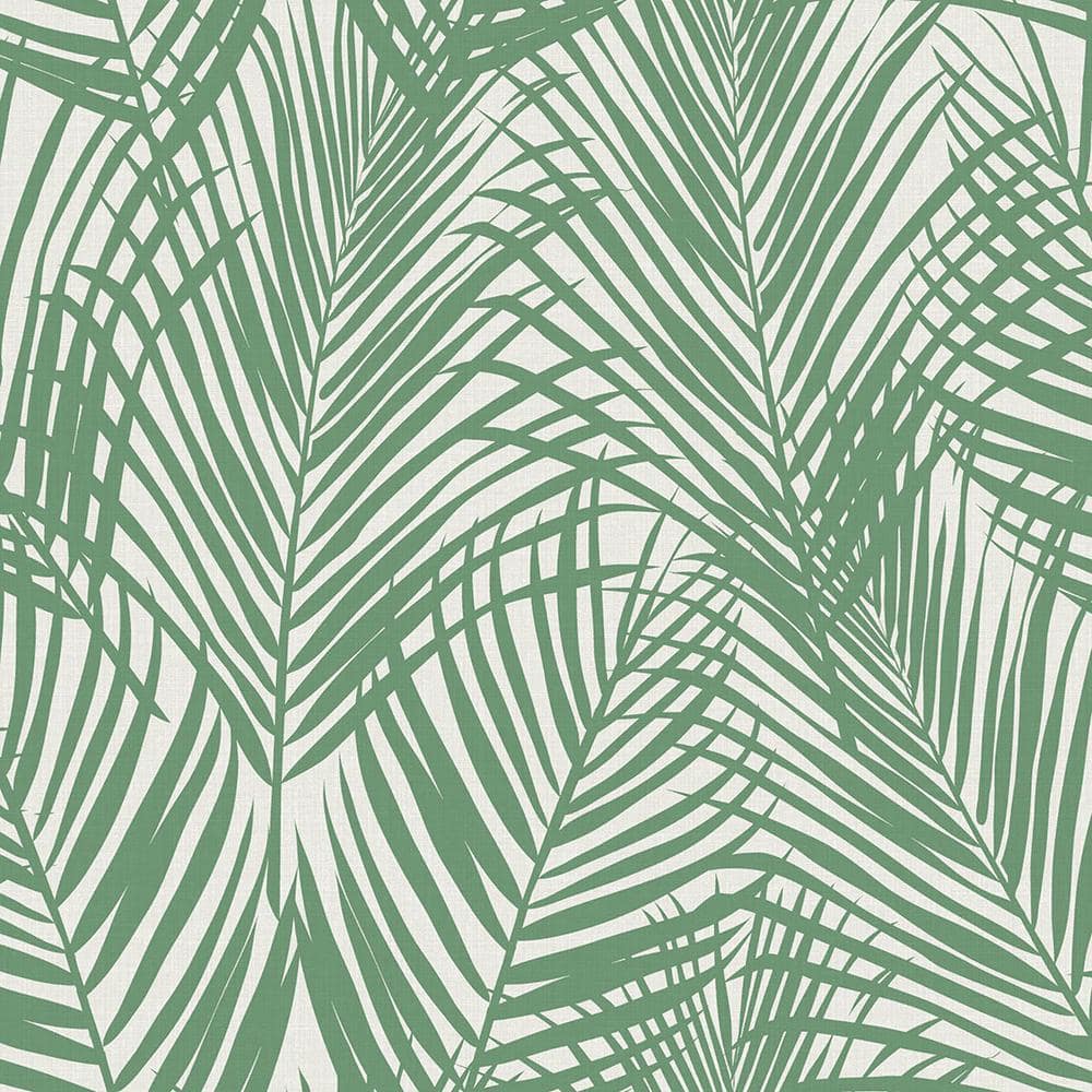 nooit account dodelijk ESTA Home Fifi Green Palm Frond Paper Strippable Wallpaper (Covers 56.4 sq.  ft.) DD139007 - The Home Depot
