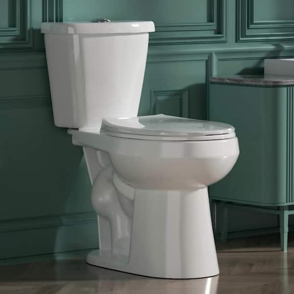 17 in. Tall ADA Toilet (2-Piece) Toilet 1.1/1.6 GPF Dual Flush Round Toilet in White with Soft-Close Seat Included