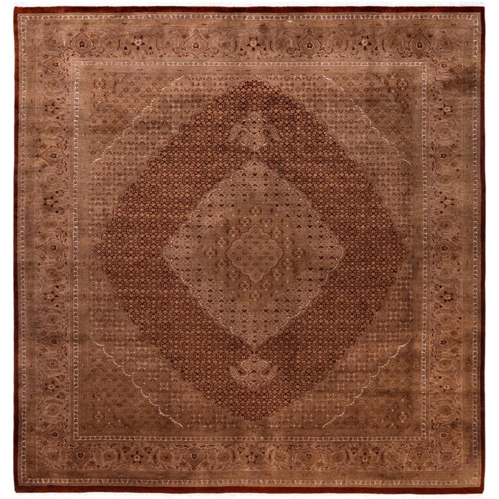 Fine Vibrance Brown 8 X 10 Hand Knotted Wool Indoor Area Rug price history on PriceWatchPro