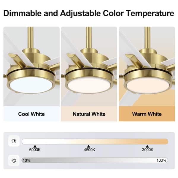 MLiAN 60 in. (5 ft.) 5 Aluminium Blades Indoor Smart Ceiling Fan